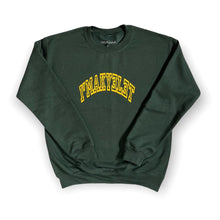 Load image into Gallery viewer, Varsity Logo Sweatshirt
